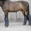 Protections de transport - Kentucky Horsewear