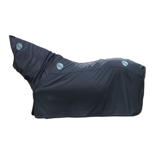 Chemise Magnetic Rug Recuptex Mini - Kentucky 52150-80