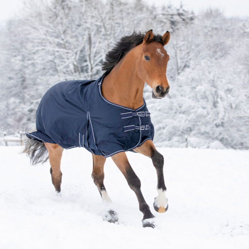 Couvrture impeméable cheval doublée polaire Economic - Waldhausen 