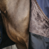Couverture imperméable cheval All Weather pro 0gr - Kentucky Horsewear