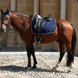 Tapis de dressage Monogramme noir - Oxxer 