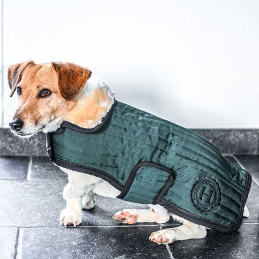 Couverture Chien Code - Harcour Couverture Chien Code - Harcour