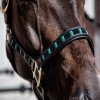 Licol cheval Pearls - Kentucky Horsewear 