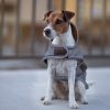 Manteau pour chien imperméable et réfléchissant - Kentucky Dogwear