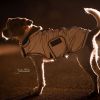 Manteau pour chien imperméable et réfléchissant - Kentucky Dogwear