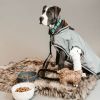 Manteau pour chien imperméable et réfléchissant - Kentucky Dogwear