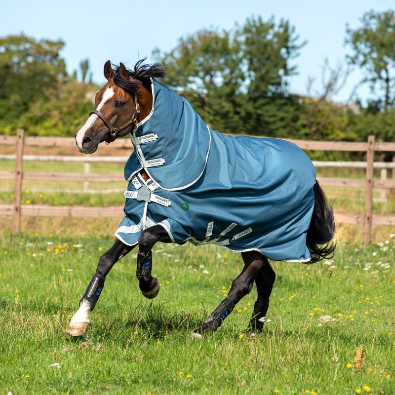 Couverture imperméable cheval Amigo Am Eco 12 plus turnout 100 g - Horseware