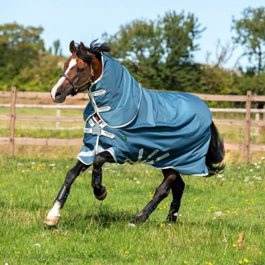 Couverture imperméable cheval Amigo Am Eco 12 plus turnout 100 g - Horseware Couverture imperméable cheval Amigo Am Eco 12 plus turnout 100 g - Horseware
