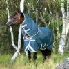 Couverture imperméable cheval Amigo Am Eco 12 plus turnout 100 g - Horseware