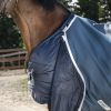 Couverture imperméable cheval Amigo Am Eco 12 plus turnout 100gr - Horseware