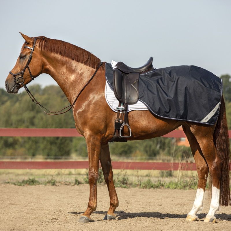 Couvre reins cheval Amigo Ripstop Competition Sheet - Horseware