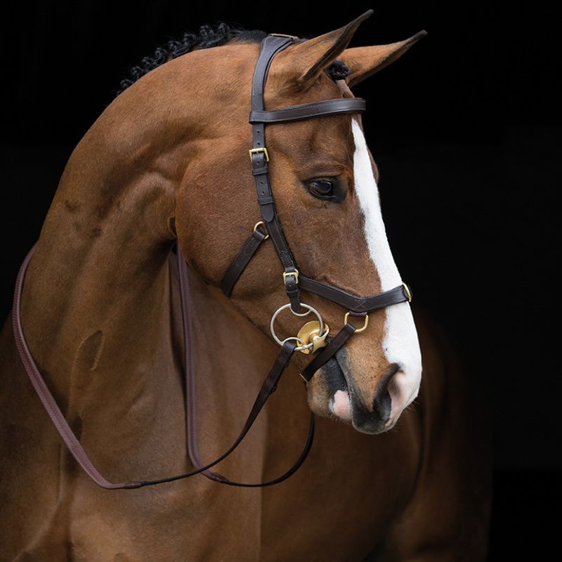 Bridon cuir cheval Rambo Micklem Multi - Horseware
