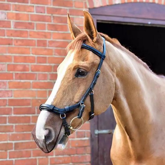 Protège-naseaux cheval anti ensencement pour bridon Micklem - Equilibrium 