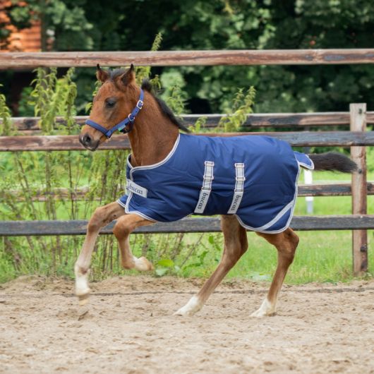 Couverture exterieur poulain imperméable Ripstop 50g - Bucas Couverture exterieur poulain imperméable Ripstop 50g - Bucas