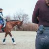 Ceecoach + Seaver communication bluetooth 16 cavaliers équitation