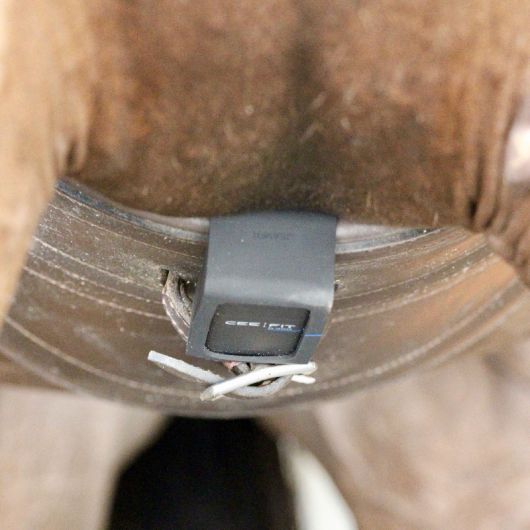 Ceefit Seaver boîtier récolteur de données cheval