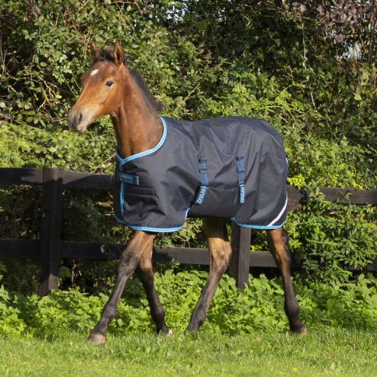 Couverture amigo Foal 200g - Horseware