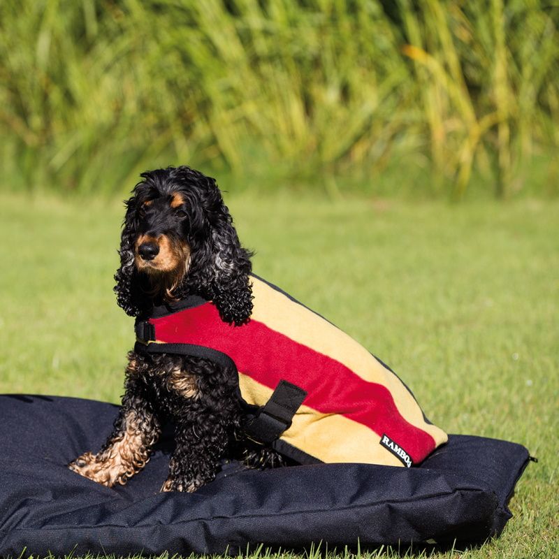 Couverture polaire chien Rambo Newmarket - Horseware