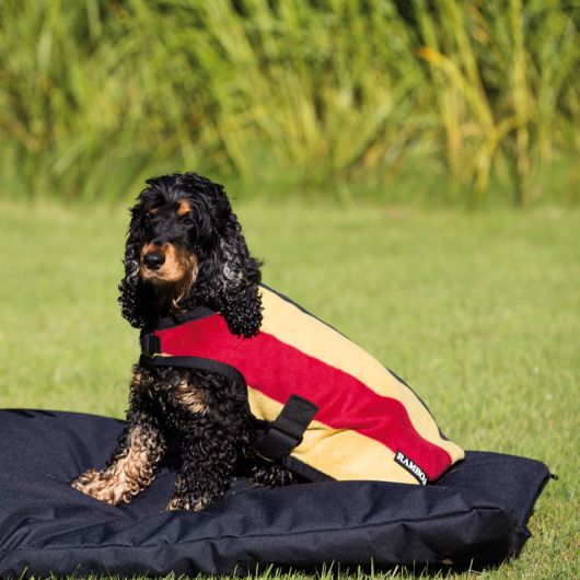 Couverture chien polaire online