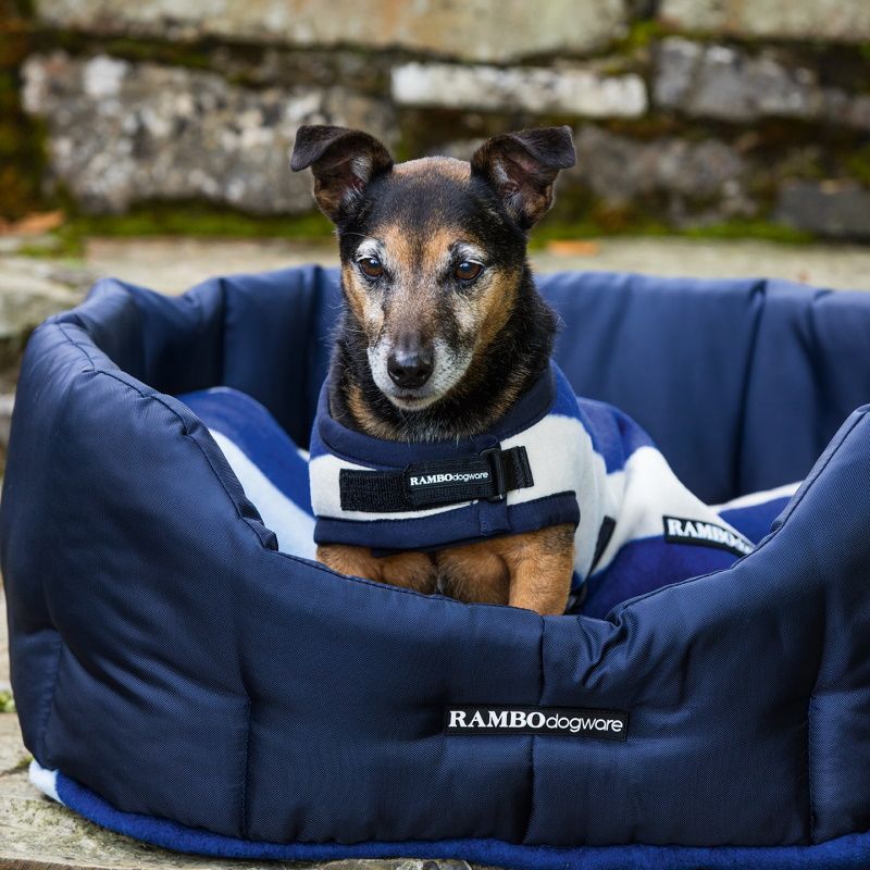 Couverture polaire chien Rambo Newmarket - Horseware Couverture polaire chien Rambo Newmarket - Horseware