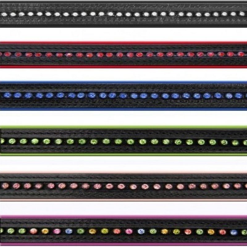 Bridon cuir muserolle combinée Diamond - Waldhausen