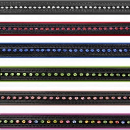 Bridon cuir muserolle combinée Diamond - Waldhausen