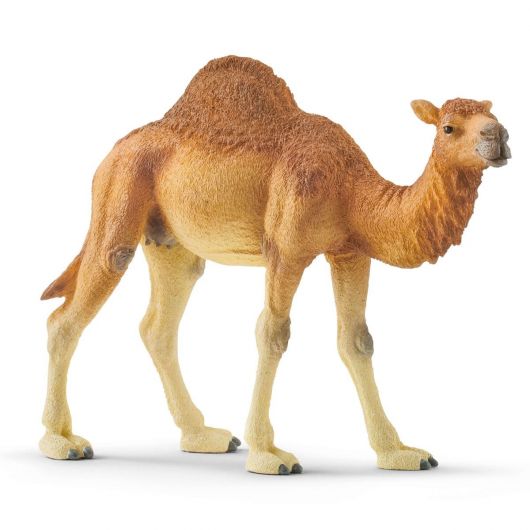 Figurine Dromadaire - Schleich