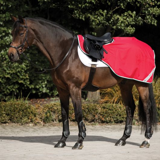 Couvre-reins cheval doublé Amigo Competition - Horseware