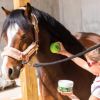 Emouchine Protec Pot Ravene gel anti-mouche cheval