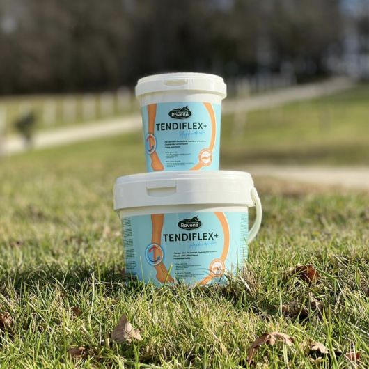 Tendiflex +Argile cheval rafraîchissante - Ravene