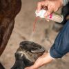 Spray soin fourchette chevaux 150 ml - Bense & Eicke