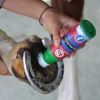 Pommade pour fourchette 200 ml Frog Protect - Paskacheval
