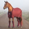 Chemise séchante Rambo Airmax Cooler disc - Horseware