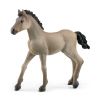 Figurine Poulain Criollo Definitivo - Schleich