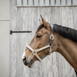 Licol en nylon cheval anatomique - Kentucky Horsewear 42560
