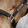 Licol en nylon cheval anatomique - Kentucky Horsewear 42560