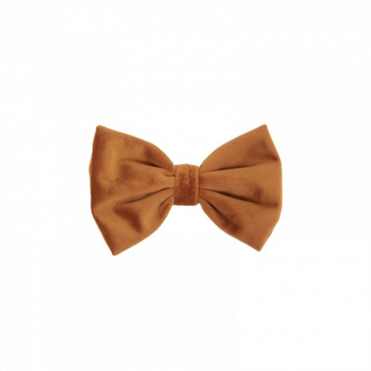 Noeud papillon pour chien Velvet - Kentucky Dogwear