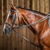 Rênes allemandes cheval Hunter Grip Working Collection - Dyon