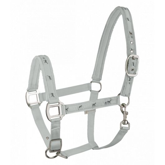 Licol cheval nylon doublé Petits chevaux - Waldhausen Licol cheval nylon doublé Petits chevaux - Waldhausen