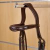 Frontal anatomique cheval droit D Collection - Dyon