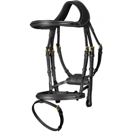 Bridon cuir cheval Différence D Collection - Dyon