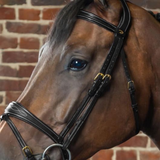 Montants de bridon cheval D Collection - Dy'on 