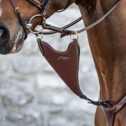 Fourche de martingale à anneaux cheval pleine rigide D Collection - D'yon