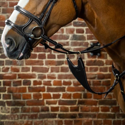 Fourche de martingale à anneaux cheval pleine rigide D Collection - D'yon