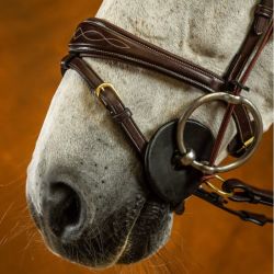 Longe cheval Dyon d'attache Working Collection - DYON - Longes - mon-cheval .fr