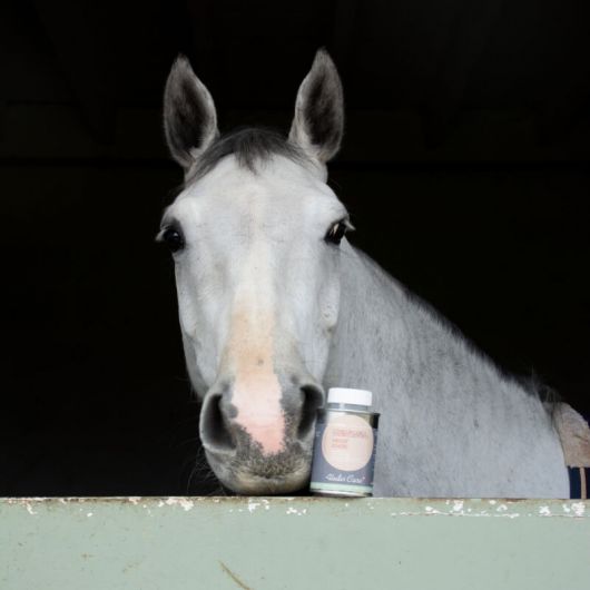Hoof Choc Alodis Care huile sabot sensible cheval