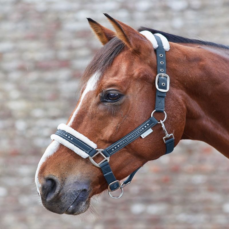 Licol cheval nylon fourrure et strass Elegant - Waldhausen
