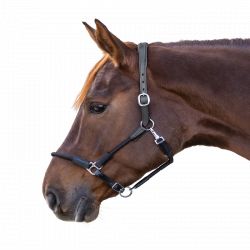 Licol cheval en cuir corde Nevada - Waldhausen