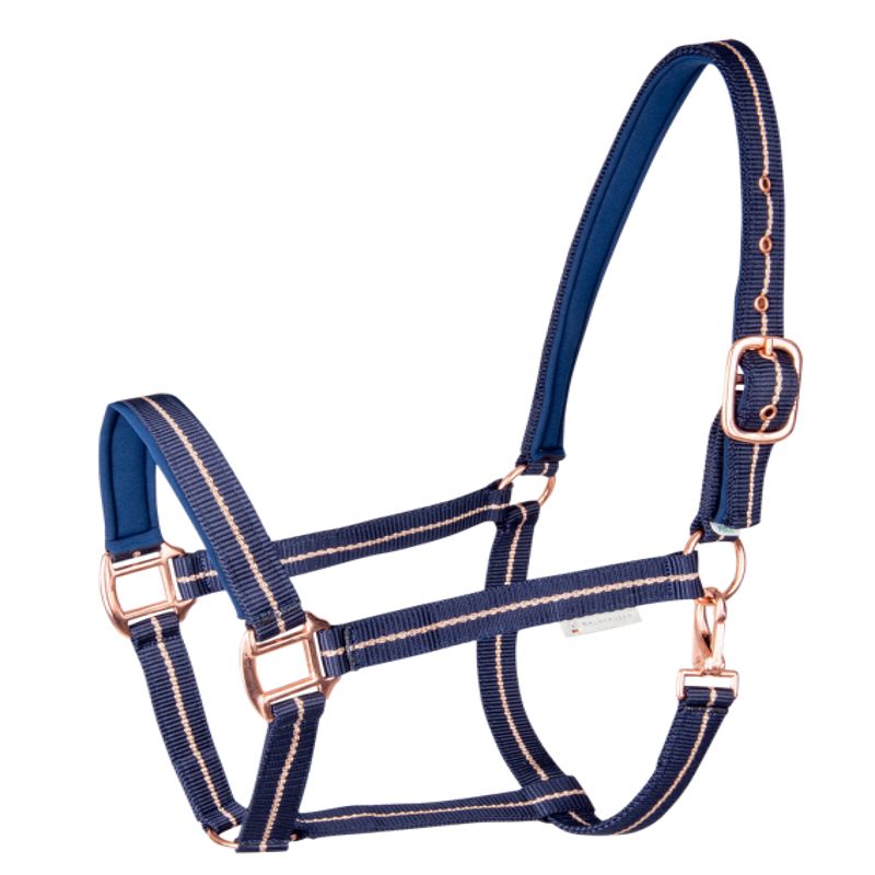 Harnais Nylon Tough-1 Harnais De Conduite Pour Cheval En Nylon - Grande Taille, Entièrement Réglable, Marque Tough-1 Harnais Cheval Tough-1 Réglable