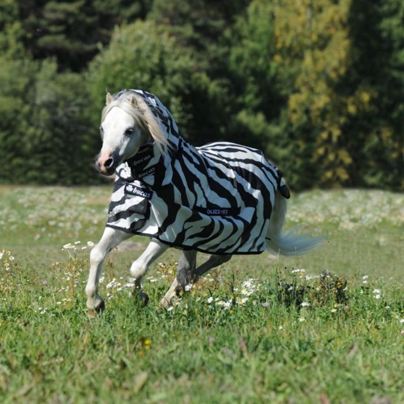 Chemise anti-mouche Poney avec couvre-cou Buzz-off Zebra - Bucas